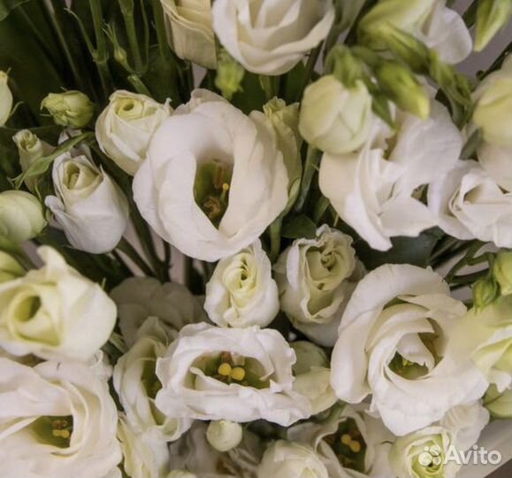 Букет из эустом и эвкалипта