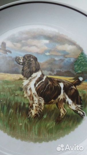 Тарелка настенная Вербилки