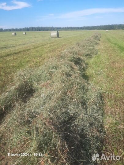 Сено Луговое в рулонах