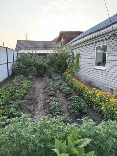 Дом 54,5 м² на участке 6 сот.