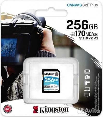 Карта памяти sdhc Kingston Canvas Go Plus 256 Gb