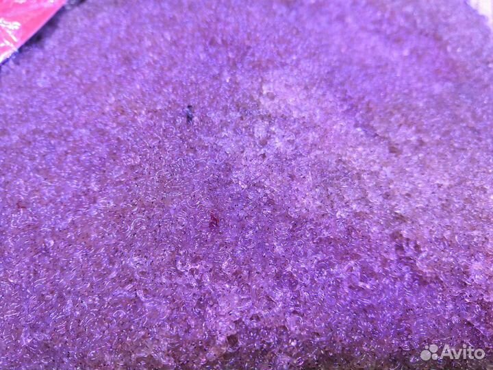 Живой и замороженный корм для аквариумных рыбок и