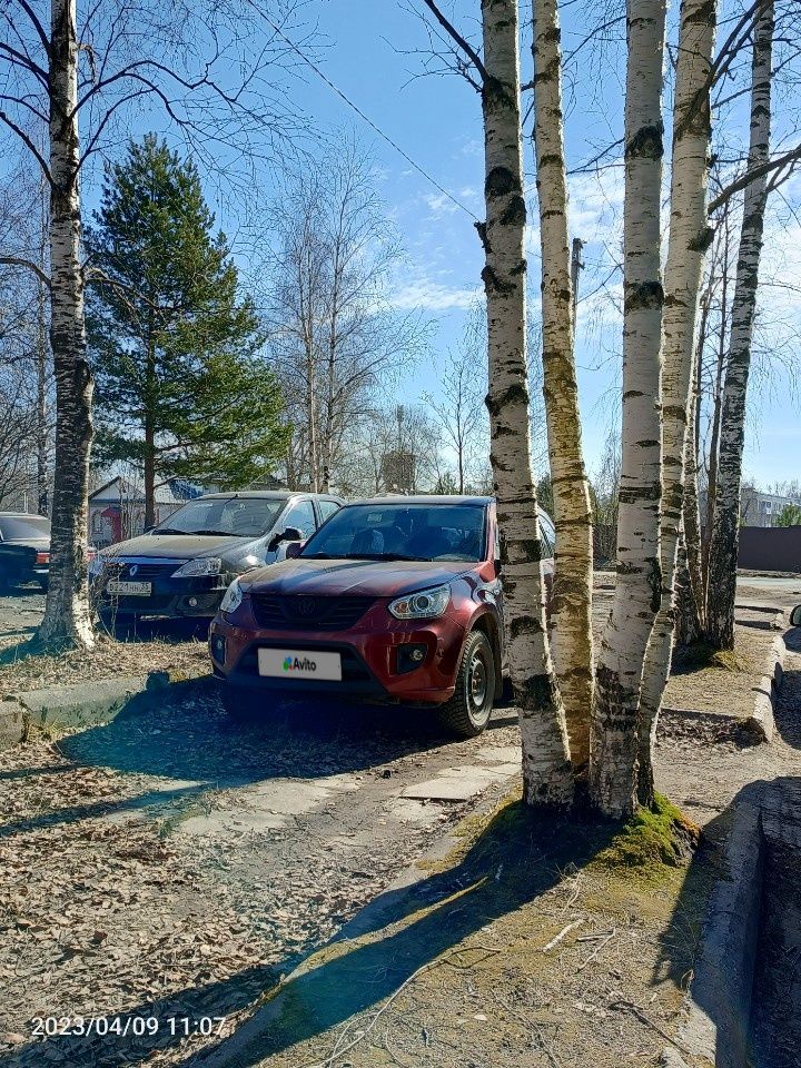 Chery Tiggo (T11): фото владельца