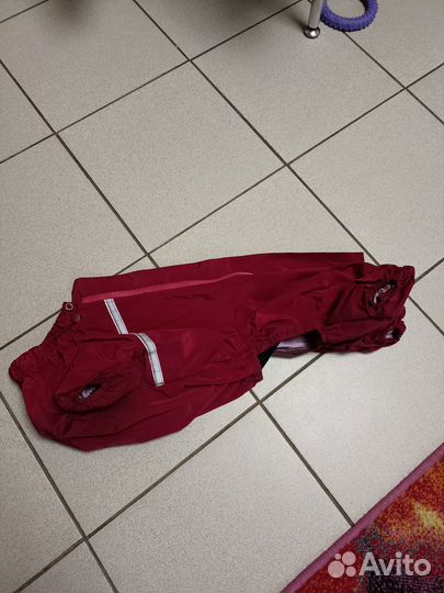 Комбинезоны для стандартной таксы, шлейка для такс