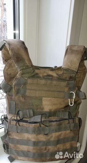 Плитник мох