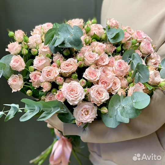 Кустовая пионовидная роза, сортовая роза