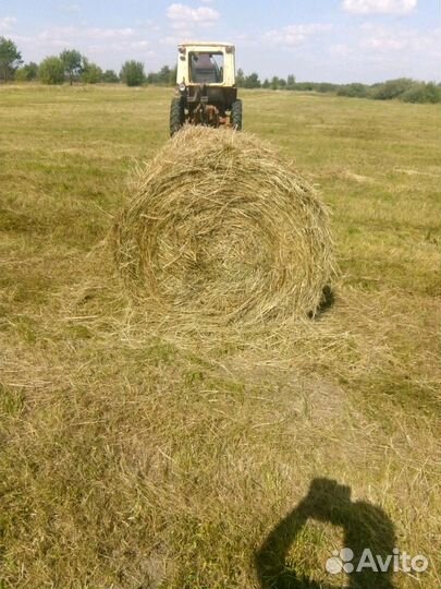 Сено в рулонах