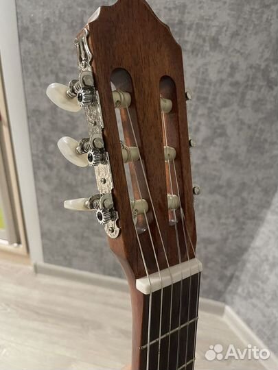 Гитара cort ac100 sg