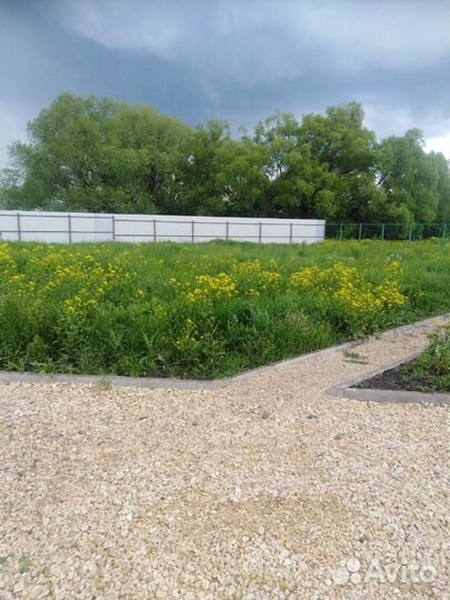 Покос травы