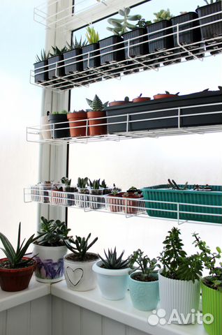 Подставки для цветов и рассады на окно (9 видов)