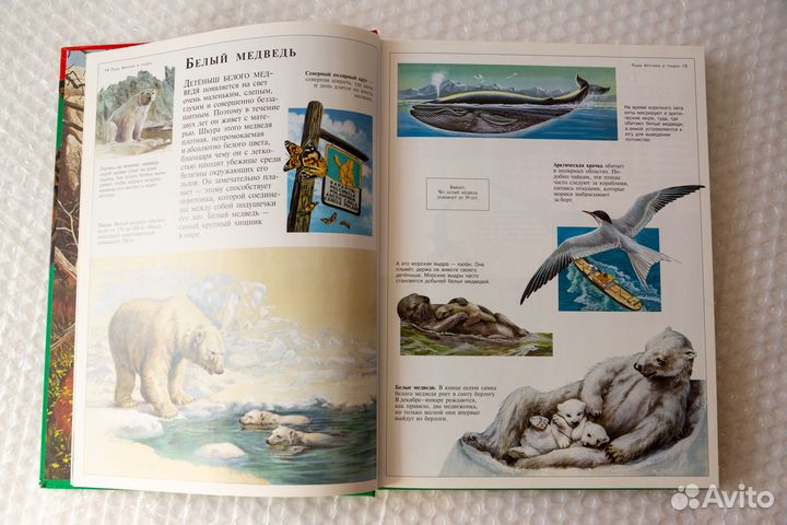 Большая энциклопедия животных (новая)