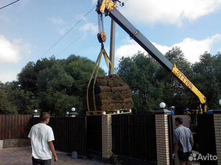 Рулонный газон