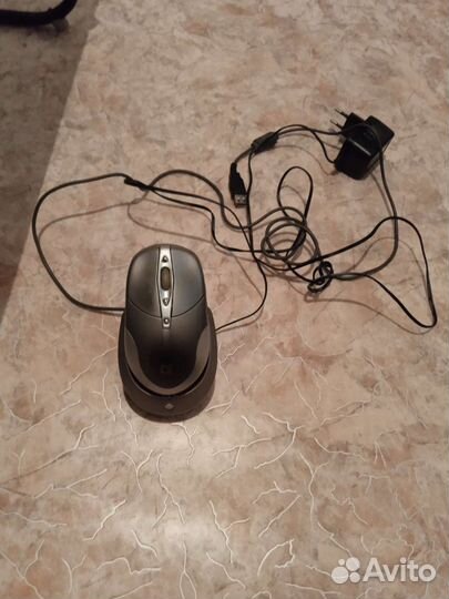 Мышь
