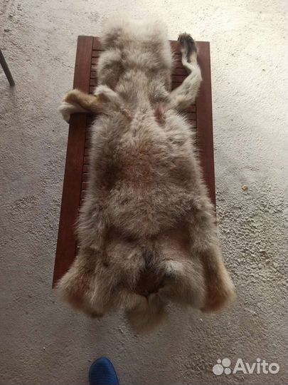 Шкура волка