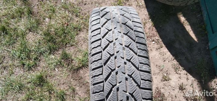 Tigar Winter 195/55 R16