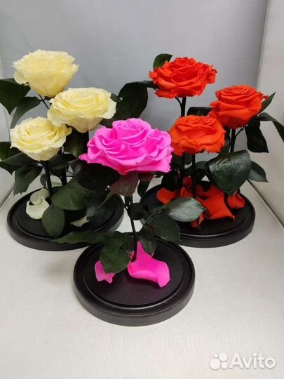 Роза в колбе оптом и в розницу