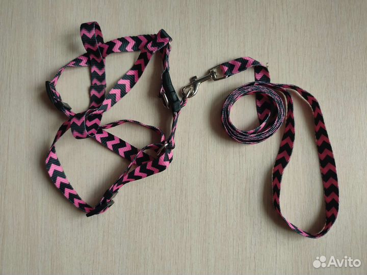 Поводок + шлейка для кошек и собак мелких пород