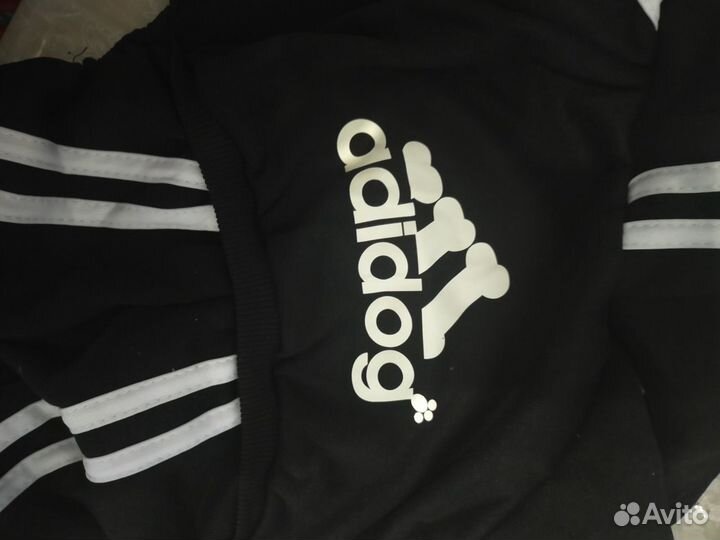 Спортивный костюм