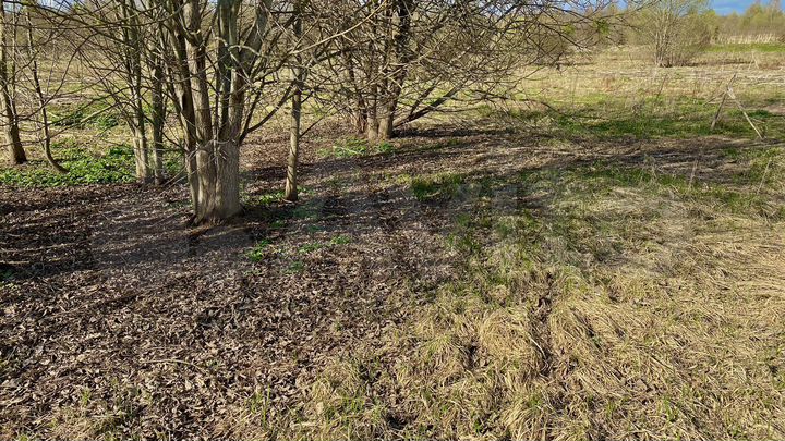 Участок 22 сот. (ИЖС)