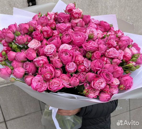 101 роза 31 51 роза Цветы