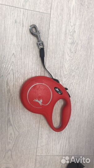 Амуниция для собак