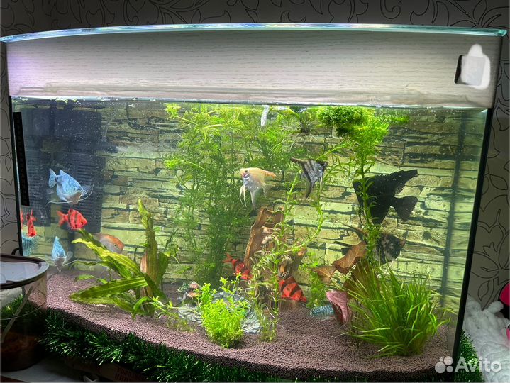 Аквариум 60 литров бу