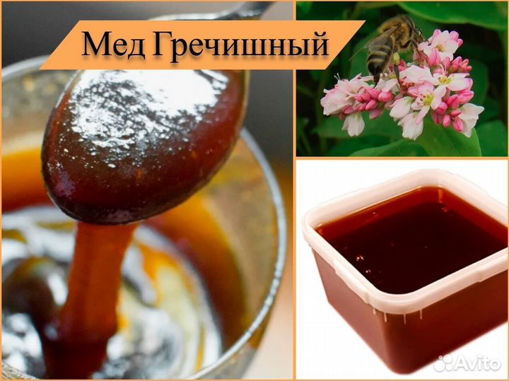 Мед Алтайский, натуральный