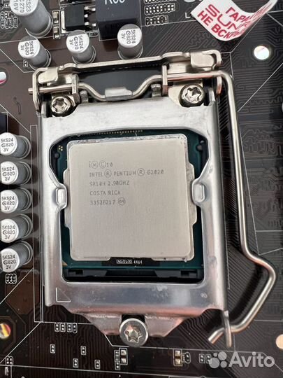 Intel pentium g2020 + asus p8h61-m lx r.20