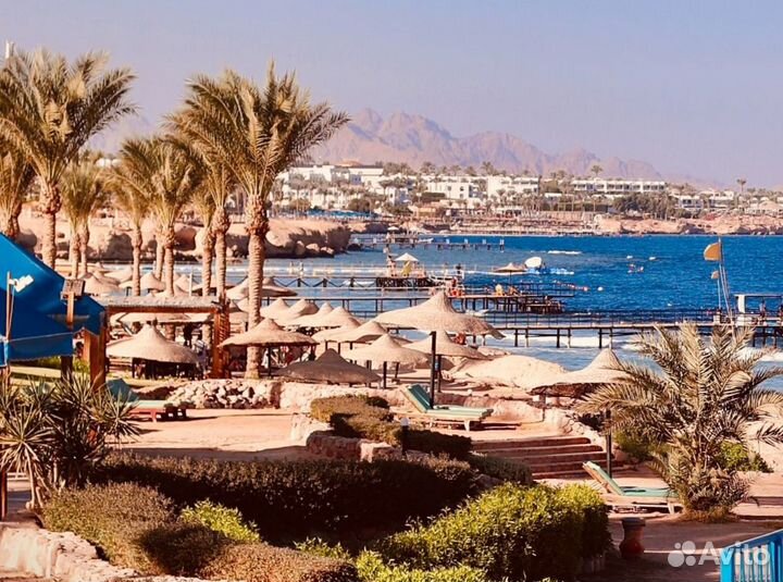 Тур путевка Египет 7 нч