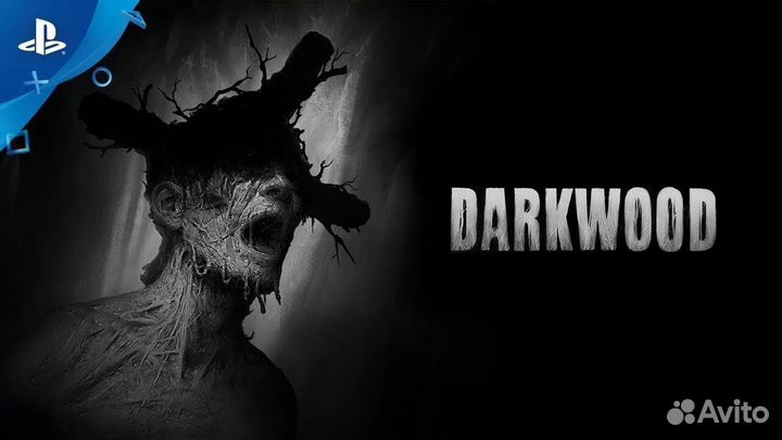 Darkwood PS4 vers PS5PS4