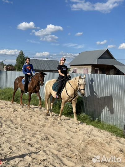 Постой, конные прогулки, фотосессии