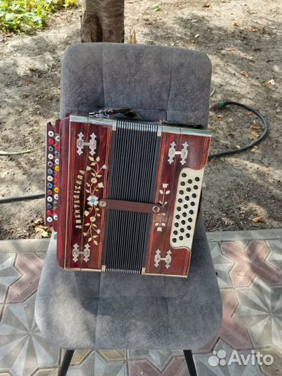 Гармонь любительская заказная