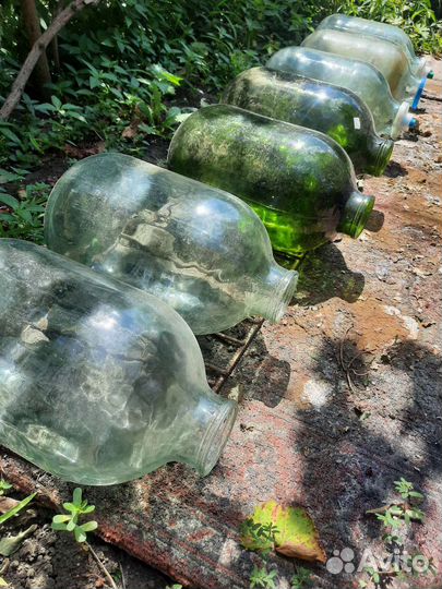 Банки стеклянные 10 л