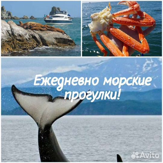 Скалы Три брата, остров Старичков, Бухта Русская