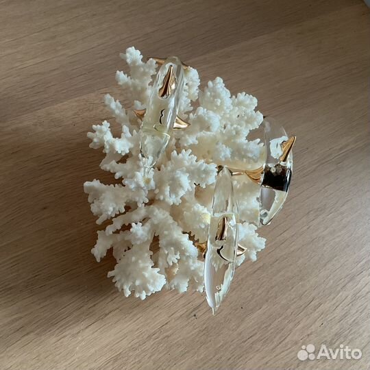 Сувениры, коралл