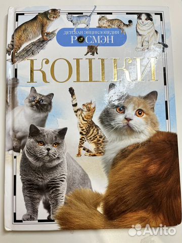 Детская энциклопедия Кошки
