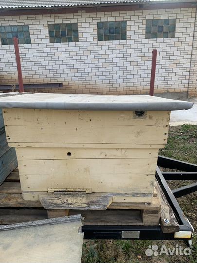 Ульи для пчел бу
