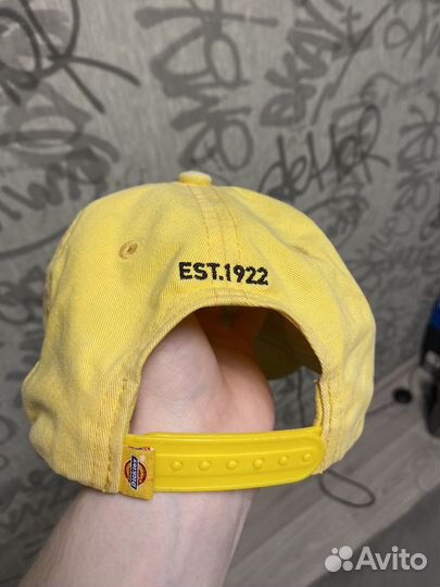 Бейсболка dickies
