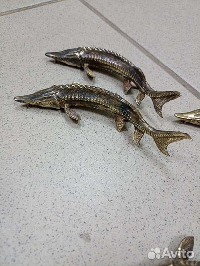 Осетр бронзовый.винтаж