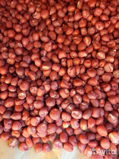 Семена кукурузы Краснодарский 291