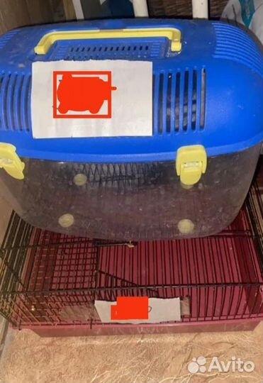 Клетки переноска