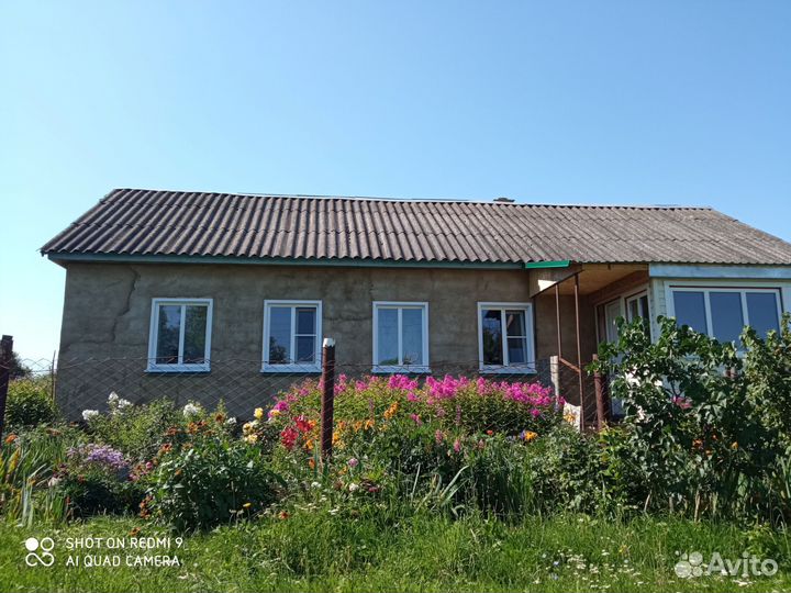 Окна пластиковые,Двери входные металлические