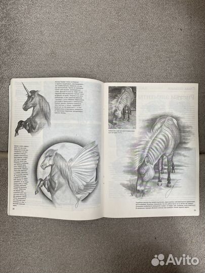 Учимся рисовать лошадей Ли Хэммонд