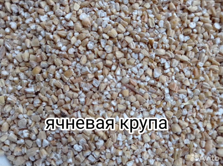 Зерно, зерно смеси, кормовые крупы, комбикорма