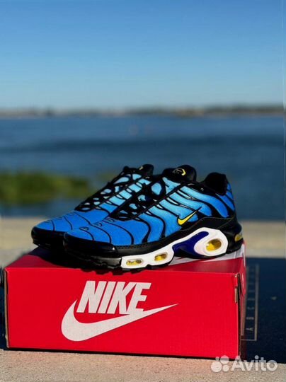 Кроссовки Nike Air max TN blue