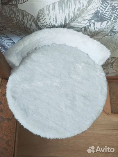 Когтеточка