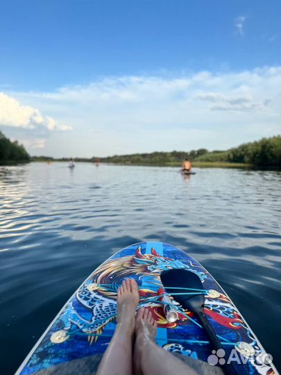 Sup board прокат