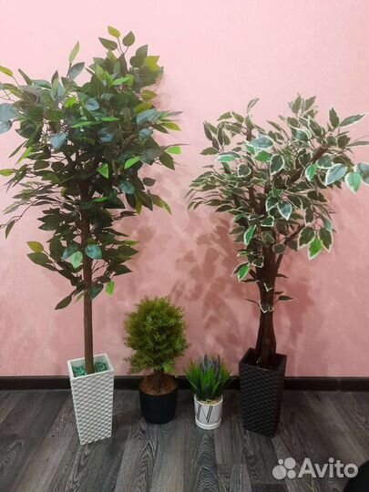 Декоративные растения искусственные