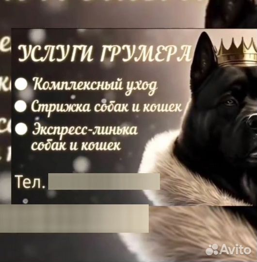 Груминг собак и кошек