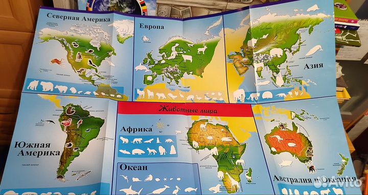 Детская книга с картой и наклейками Животные